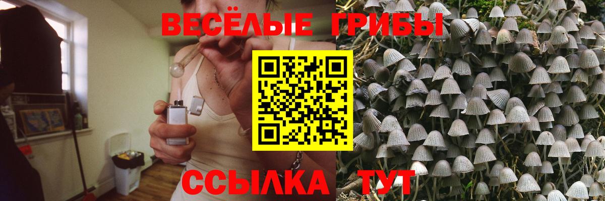 Галлюциногенные грибы MAGIC MUSHROOMS Грязи